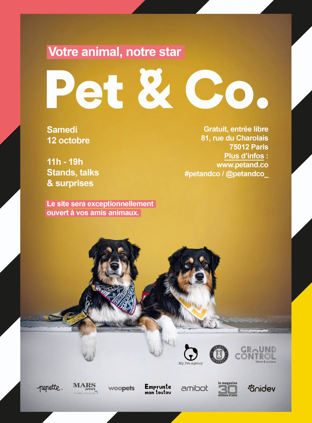 Affiche Pet & Co 2019 Pet & Co 2019 - Evènement Animal University - Vivre et travailler dans le respect de l’animal