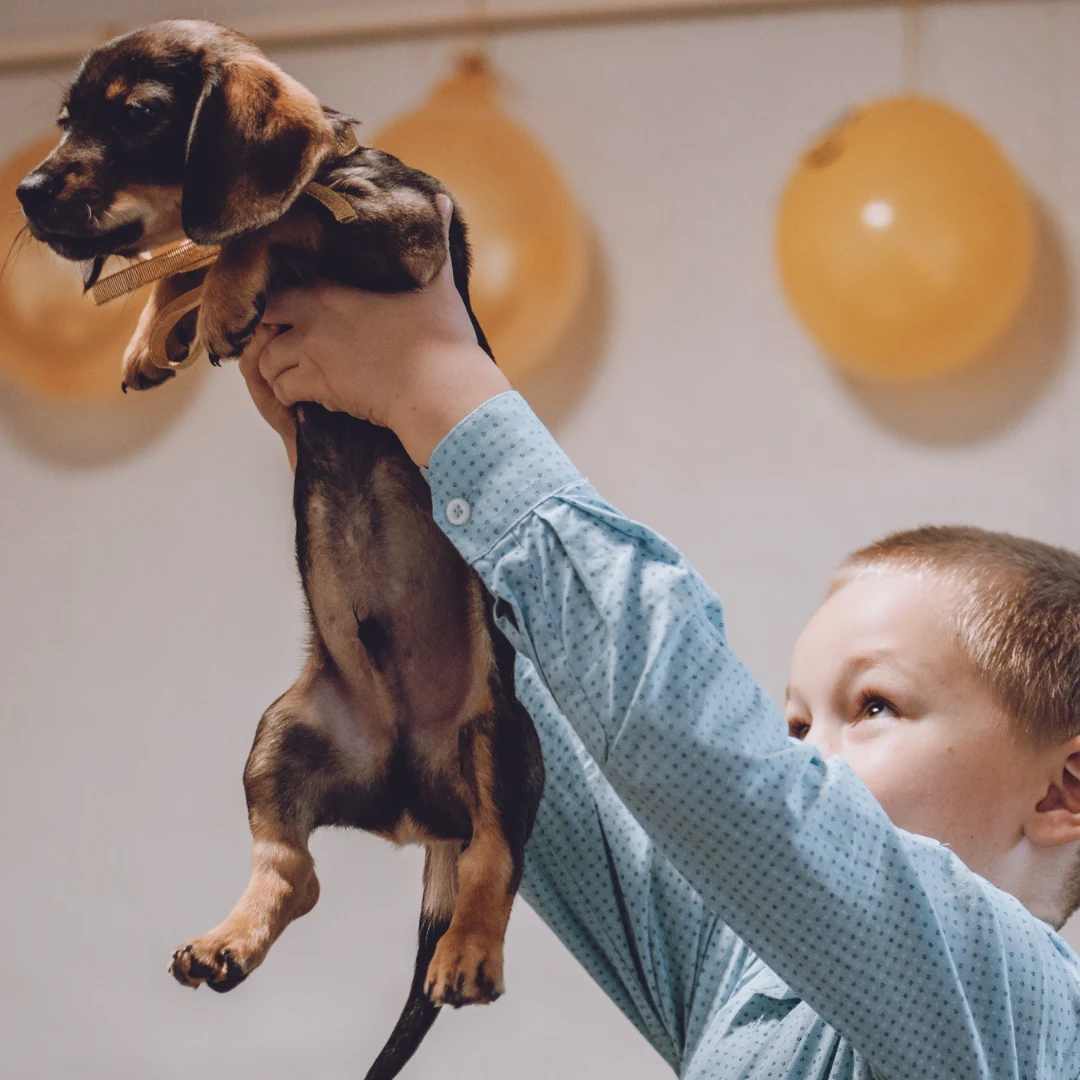 Animal University - L'animal : objet de consommation ?