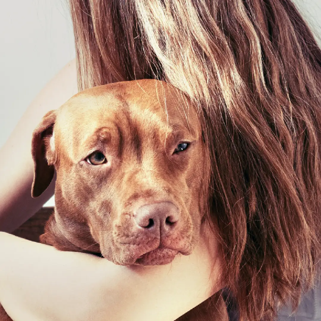 Animal University - Le chien n'a qu'un seul "maître", vraiment ?