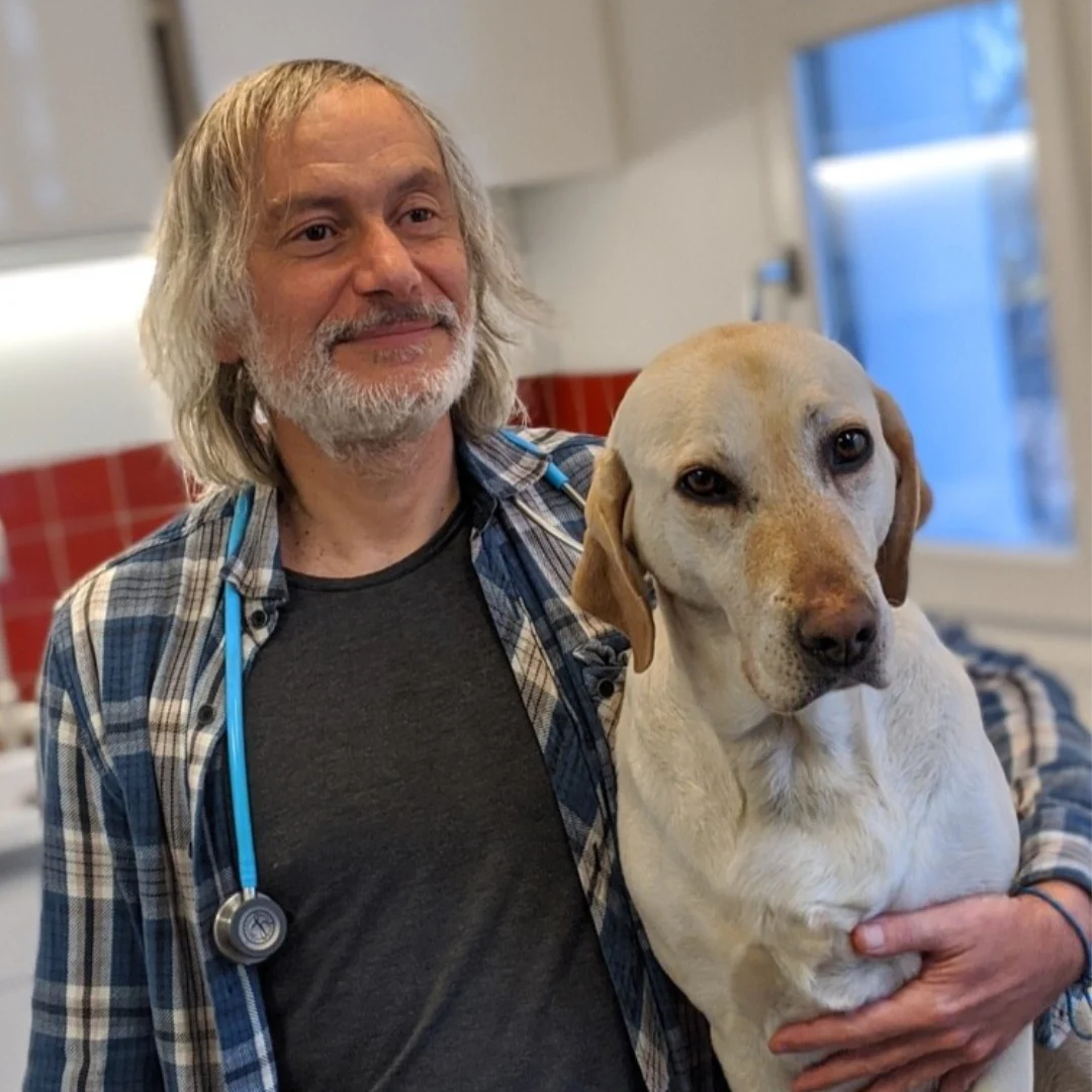 Animal University - Le "medical training" en clinique vétérinaire
