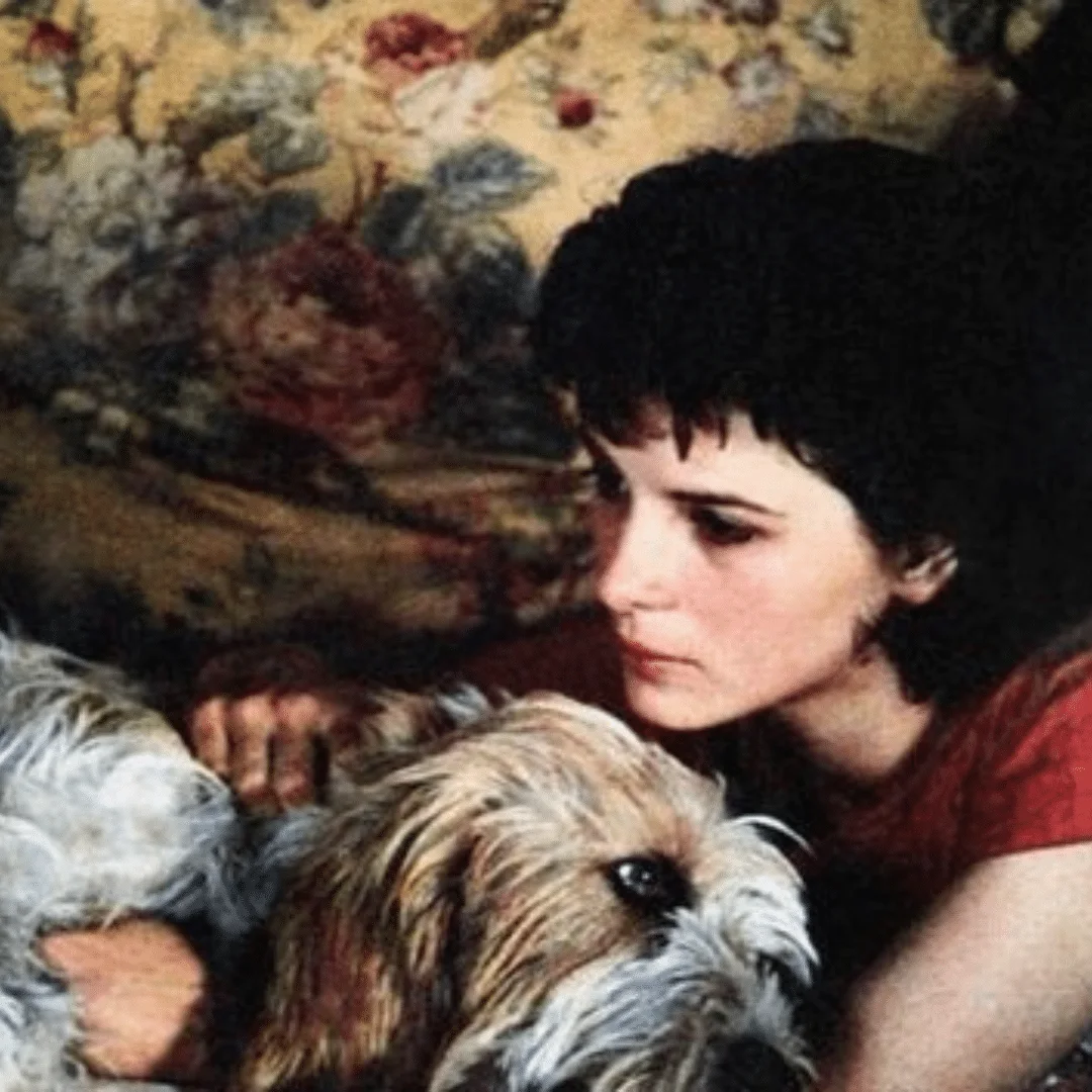 Animal University - Réflexion sur l’amour par Milan Kundera