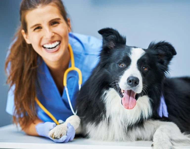 Animal University - Pratiques Animal Friendly en structure vétérinaire, Vétérinaire souriante avec un chien illustrant les pratiques Animal Friendly pour réduire le stress et améliorer les soins