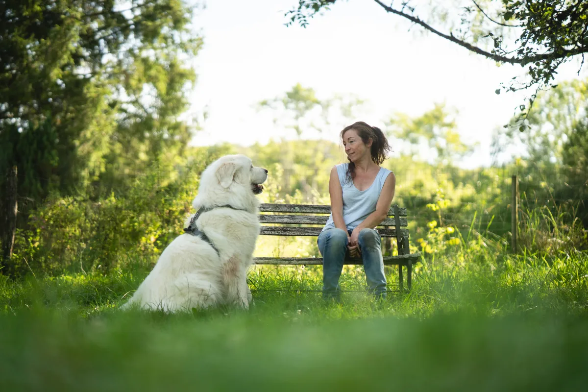 Animal University - Formatrice Isabelle Moulin, Educatrice canin