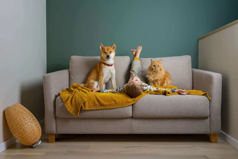 Animal University - Enfant allongé sur un canapé avec un chien Shiba Inu et un chat, illustrant l’actualisation des connaissances ACACED