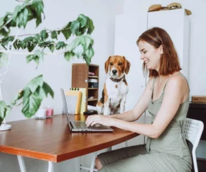 Animal University - Supervision de pratique & coaching, Formatrice travaillant sur un ordinateur avec un chien assis à ses côtés, illustrant la supervision et le coaching pour les professionnels du secteur animalier