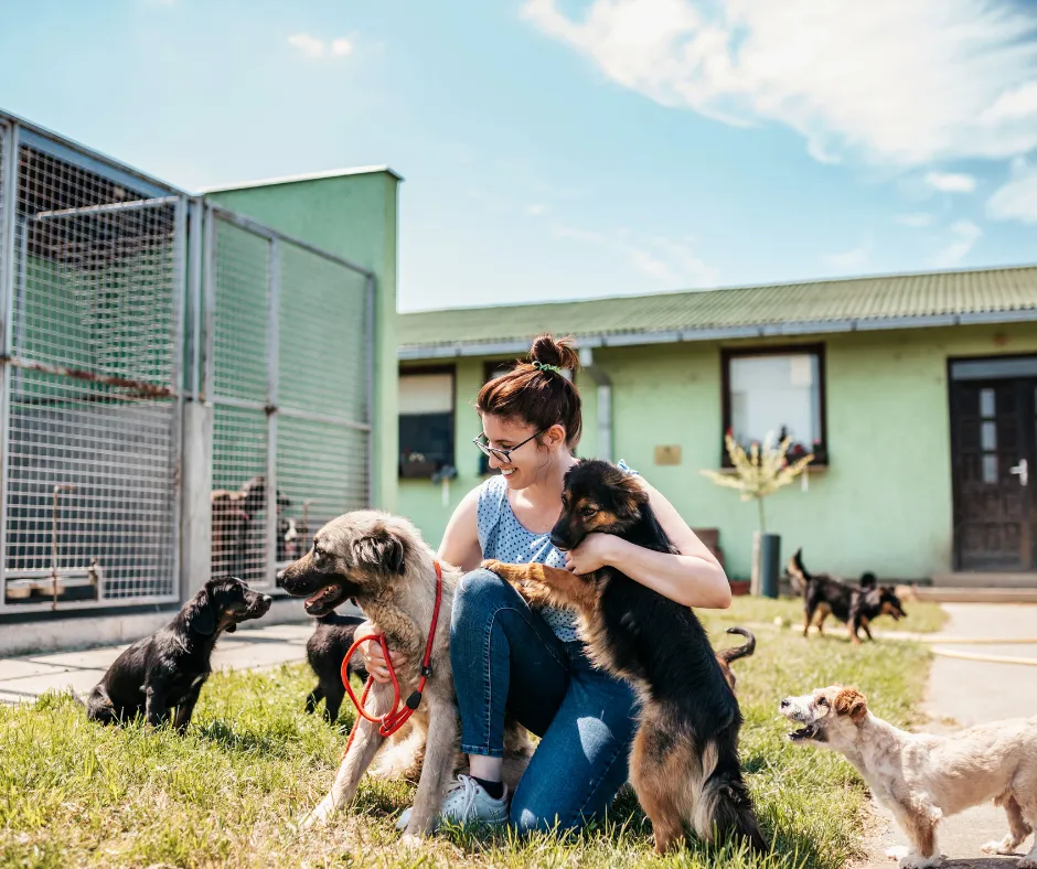 Animal University - Entreprises et institutions Des formations pensées pour vous !