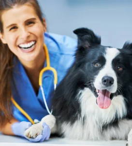 Animal University - Pratiques Animal Friendly en structure vétérinaire, Vétérinaire souriante avec un chien illustrant les pratiques Animal Friendly pour réduire le stress et améliorer les soins