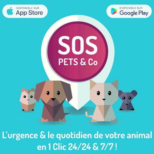 SOS Pets SOS Pets - Partenaire Animal University - Vivre et travailler dans le respect de l’animal